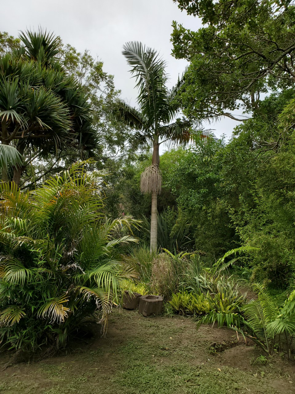 thumbnail_20200120_155104